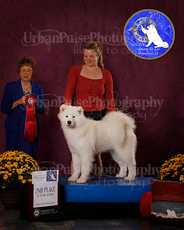 SCA2023_B_AWARD_6186