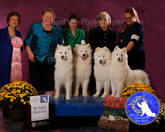 SCA2023_B_AWARD_6187