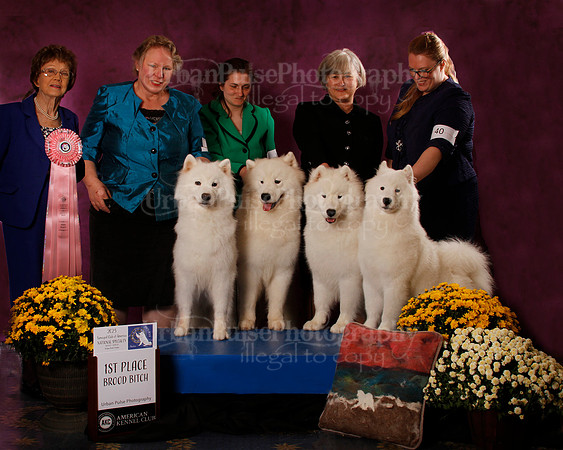 SCA2023_B_AWARD_6188