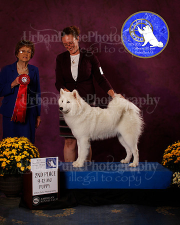 SCA2023_B_AWARD_6190