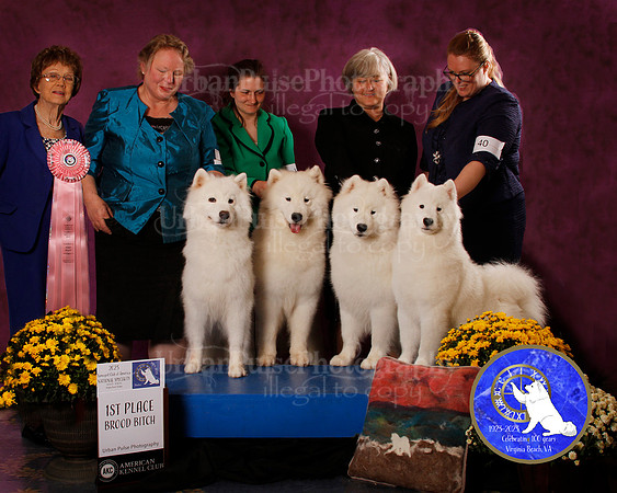 SCA2023_B_AWARD_6189