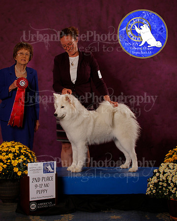SCA2023_B_AWARD_6191