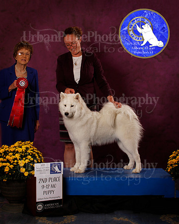 SCA2023_B_AWARD_6193