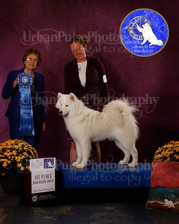 SCA2023_B_AWARD_6195
