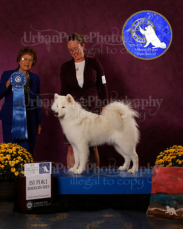 SCA2023_B_AWARD_6196