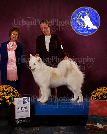 SCA2023_B_AWARD_6197