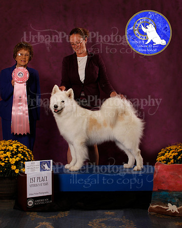 SCA2023_B_AWARD_6202
