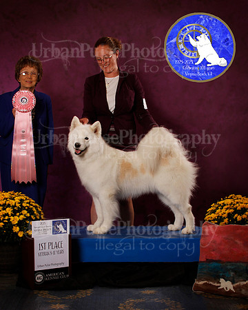 SCA2023_B_AWARD_6203