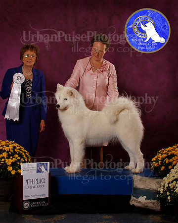 SCA2023_B_AWARD_6213