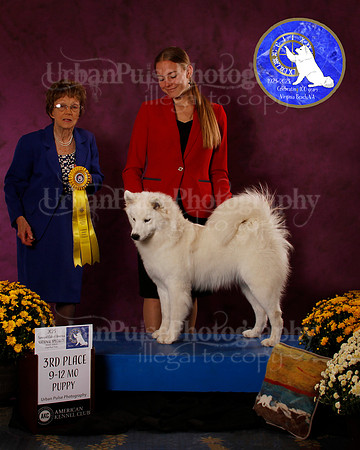 SCA2023_B_AWARD_6220