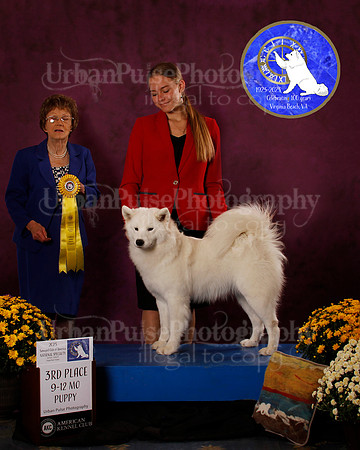 SCA2023_B_AWARD_6221
