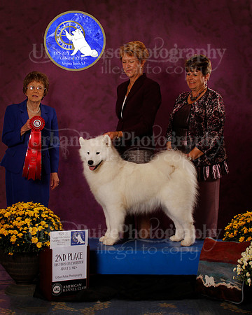 SCA2023_B_AWARD_6222