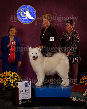 SCA2023_B_AWARD_6223