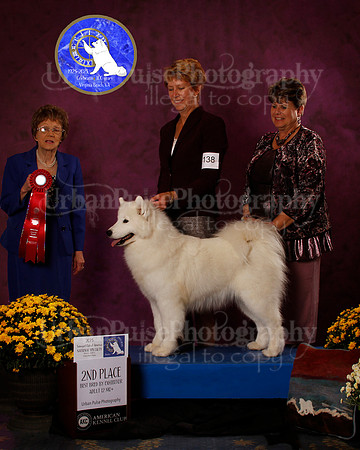 SCA2023_B_AWARD_6224