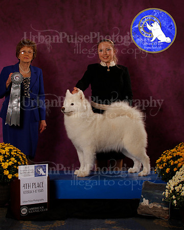 SCA2023_B_AWARD_6234
