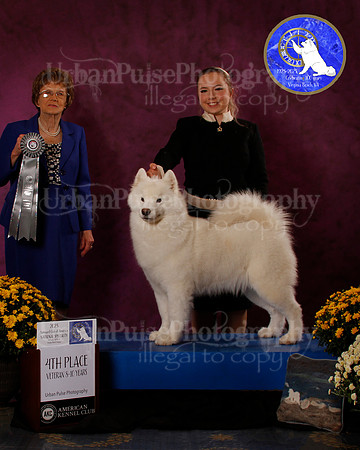 SCA2023_B_AWARD_6235