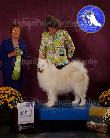 SCA2023_B_AWARD_6240