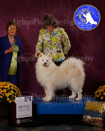 SCA2023_B_AWARD_6241
