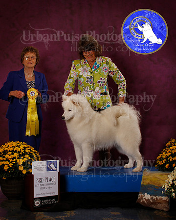 SCA2023_B_AWARD_6244