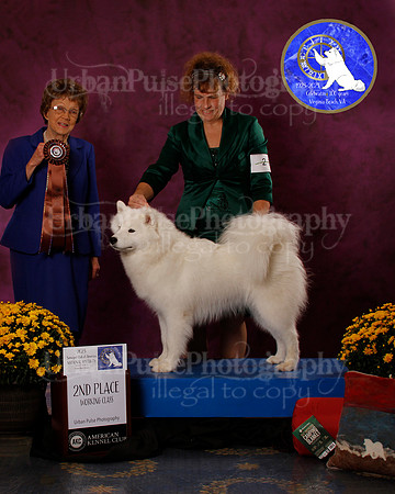 SCA2023_B_AWARD_6079