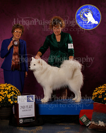 SCA2023_B_AWARD_6080
