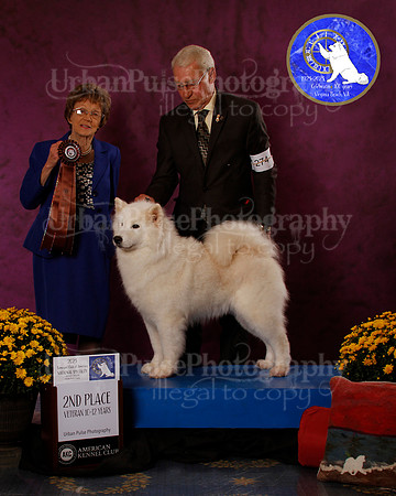 SCA2023_B_AWARD_6088