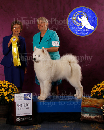 SCA2023_B_AWARD_6098