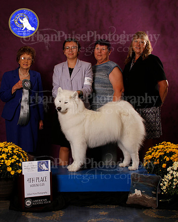 SCA2023_B_AWARD_6110