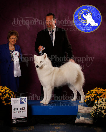 SCA2023_B_AWARD_6115