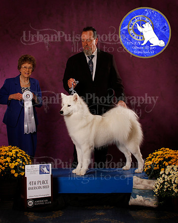 SCA2023_B_AWARD_6116