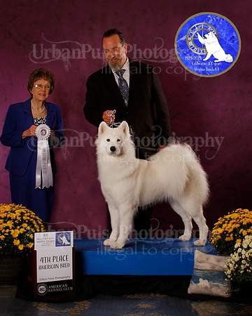 SCA2023_B_AWARD_6118