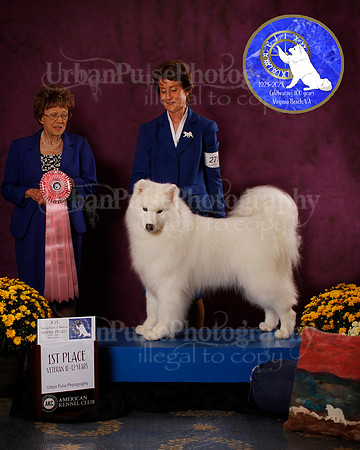 SCA2023_B_AWARD_6121