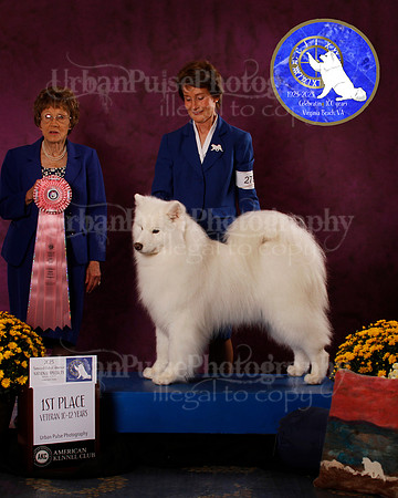 SCA2023_B_AWARD_6123