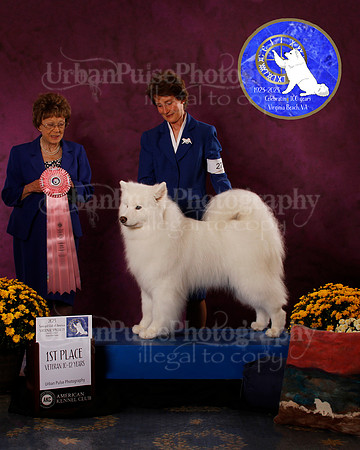 SCA2023_B_AWARD_6127
