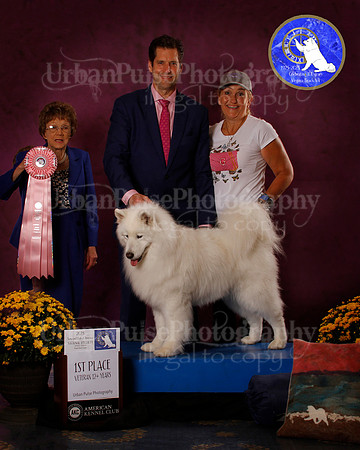SCA2023_B_AWARD_6131