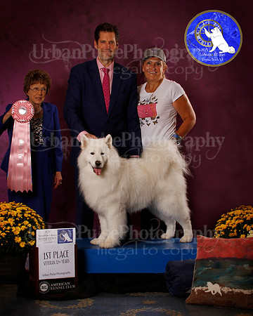 SCA2023_B_AWARD_6132