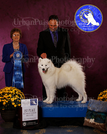 SCA2023_B_AWARD_6139