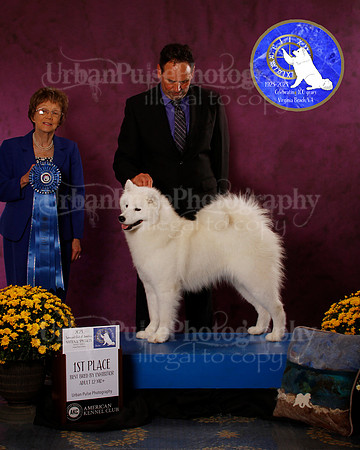 SCA2023_B_AWARD_6136