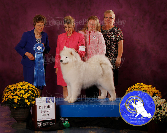 SCA2023_B_AWARD_6142