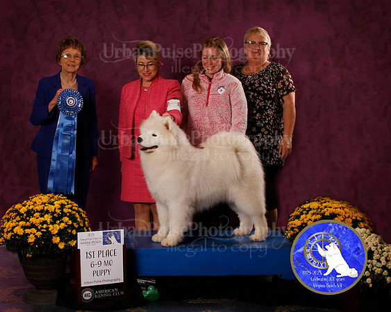 SCA2023_B_AWARD_6145