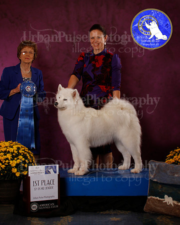 SCA2023_B_AWARD_6148
