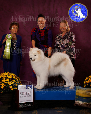 SCA2023_B_AWARD_6151