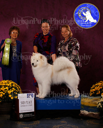 SCA2023_B_AWARD_6153