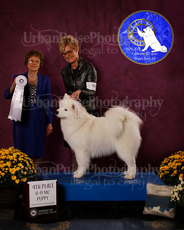 SCA2023_B_AWARD_6156