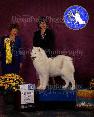SCA2023_B_AWARD_6161