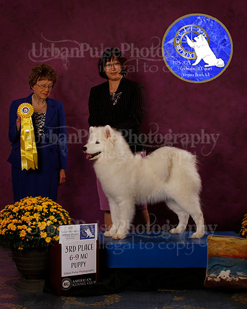 SCA2023_B_AWARD_6165