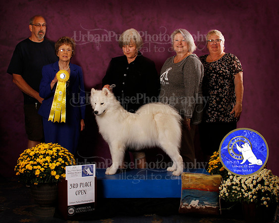 SCA2023_B_AWARD_6168