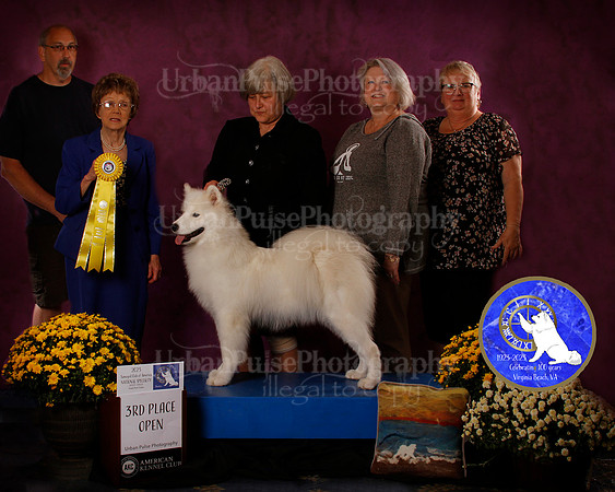SCA2023_B_AWARD_6169