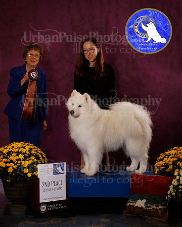 SCA2023_B_AWARD_6175