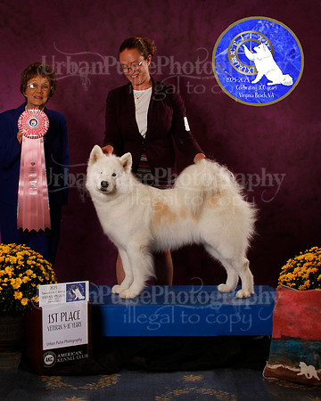 SCA2023_B_AWARD_6200